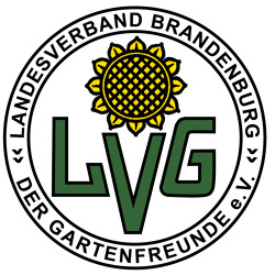 BKD informiert 10/2023