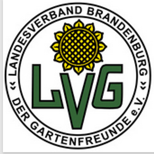 Tag des Ehrenamtes des Landesverbandes