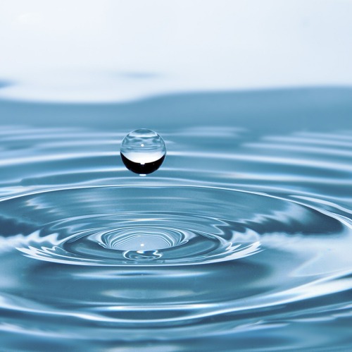 Verbandsschau des Wasser- u. Bodenverbandes "Welse" vom 10.03. - 20.05.2025