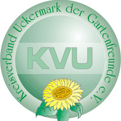 Informationveranstaltung für die Vorstände (Gruppe 2)